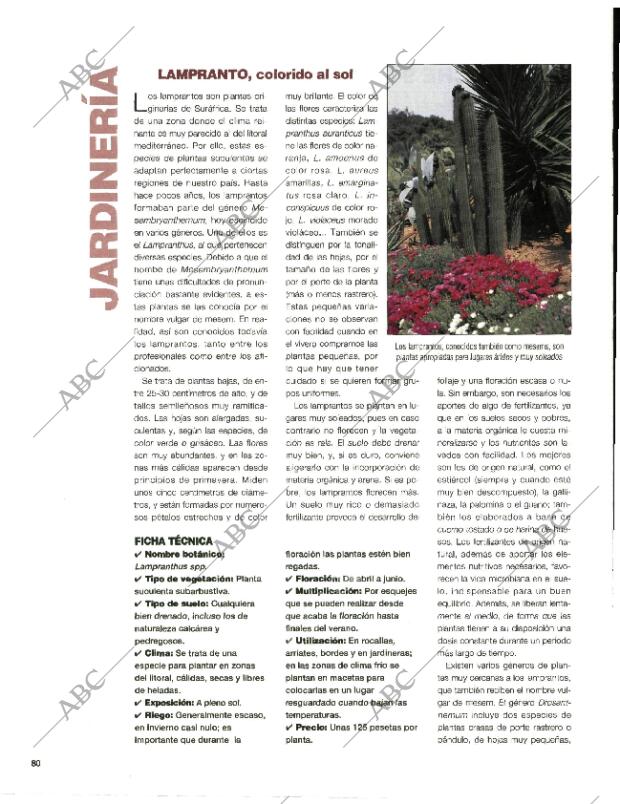 BLANCO Y NEGRO MADRID 05-04-1998 página 80