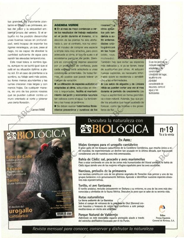 BLANCO Y NEGRO MADRID 19-04-1998 página 97
