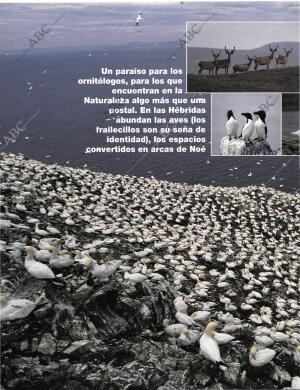 BLANCO Y NEGRO MADRID 03-05-1998 página 62