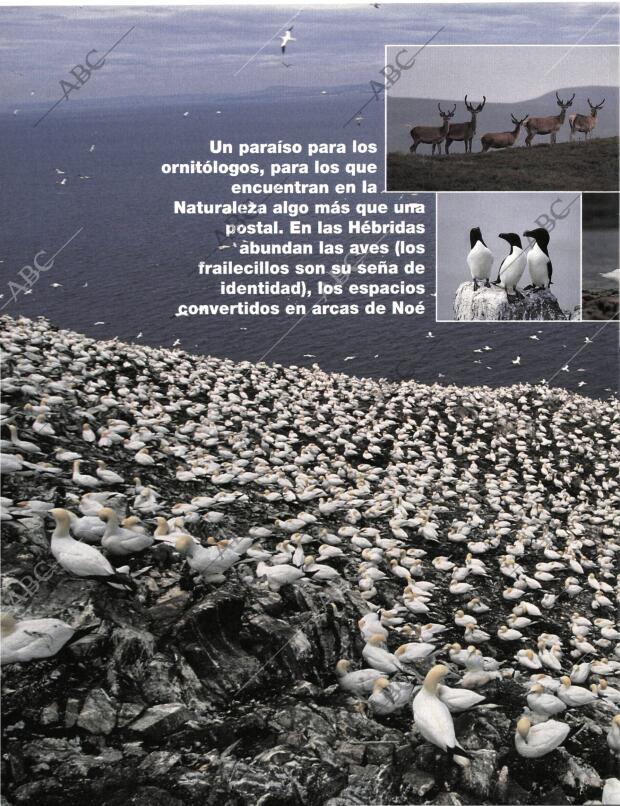 BLANCO Y NEGRO MADRID 03-05-1998 página 62