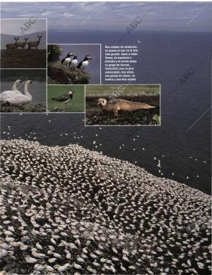 BLANCO Y NEGRO MADRID 03-05-1998 página 63