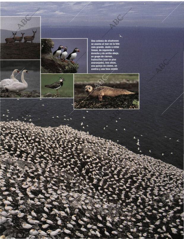 BLANCO Y NEGRO MADRID 03-05-1998 página 63