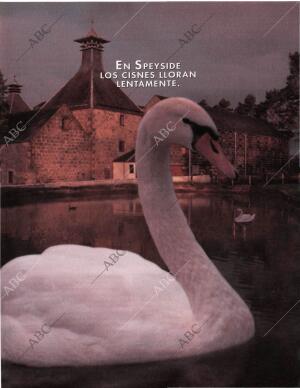 BLANCO Y NEGRO MADRID 03-05-1998 página 9