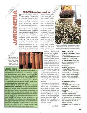 BLANCO Y NEGRO MADRID 10-05-1998 página 93