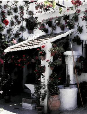 BLANCO Y NEGRO MADRID 31-05-1998 página 81