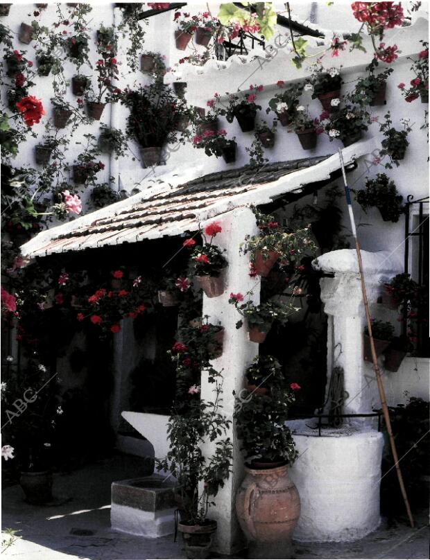 BLANCO Y NEGRO MADRID 31-05-1998 página 81