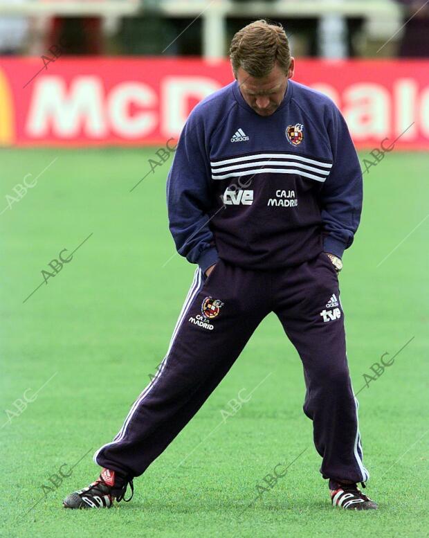 Entrenamiento en el campo de Chantilly de la selección española, después del...