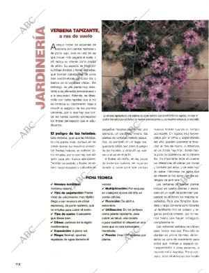 BLANCO Y NEGRO MADRID 21-06-1998 página 110