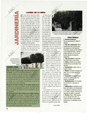 BLANCO Y NEGRO MADRID 28-06-1998 página 98