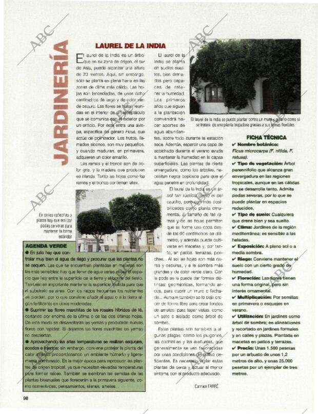 BLANCO Y NEGRO MADRID 28-06-1998 página 98