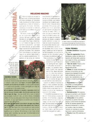 BLANCO Y NEGRO MADRID 26-07-1998 página 77