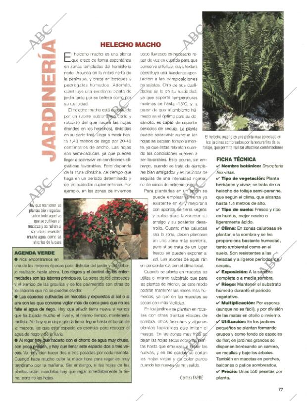 BLANCO Y NEGRO MADRID 26-07-1998 página 77