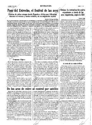 ABC MADRID 10-08-1998 página 41