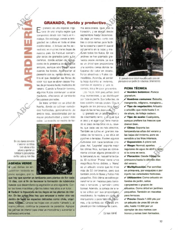 BLANCO Y NEGRO MADRID 30-08-1998 página 77