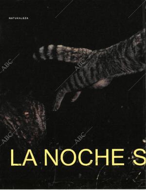 BLANCO Y NEGRO MADRID 20-09-1998 página 46