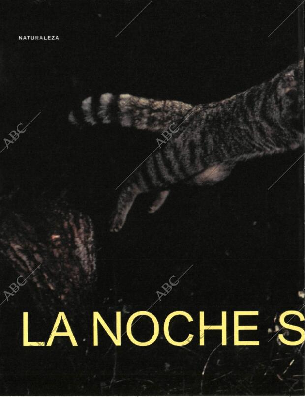 BLANCO Y NEGRO MADRID 20-09-1998 página 46