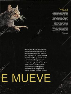 BLANCO Y NEGRO MADRID 20-09-1998 página 47