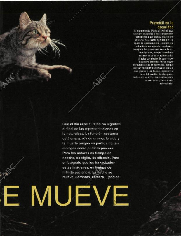 BLANCO Y NEGRO MADRID 20-09-1998 página 47