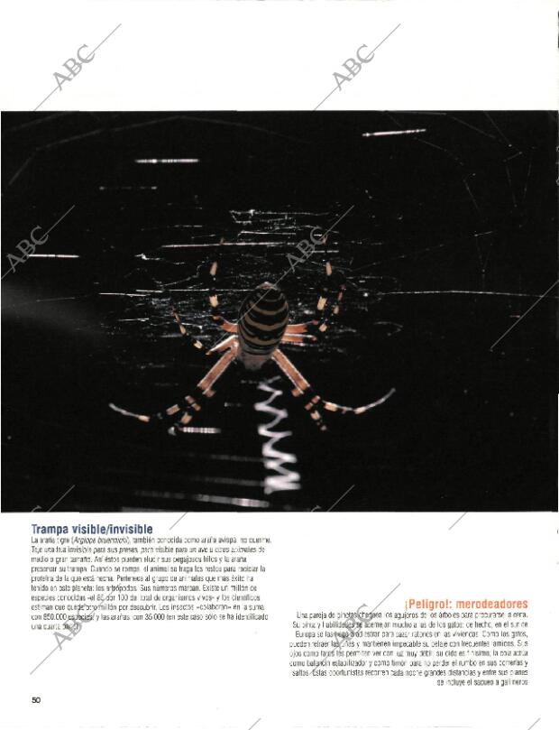 BLANCO Y NEGRO MADRID 20-09-1998 página 50