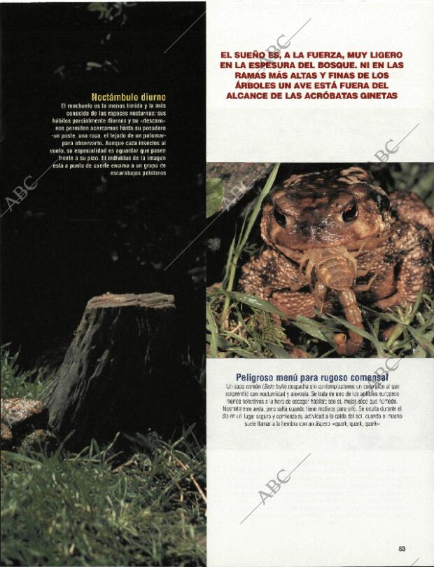 BLANCO Y NEGRO MADRID 20-09-1998 página 53