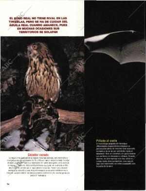 BLANCO Y NEGRO MADRID 20-09-1998 página 54