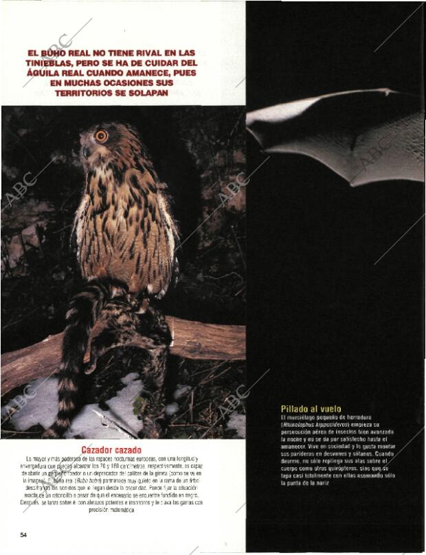 BLANCO Y NEGRO MADRID 20-09-1998 página 54