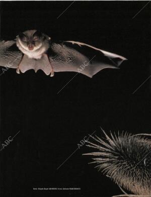 BLANCO Y NEGRO MADRID 20-09-1998 página 55