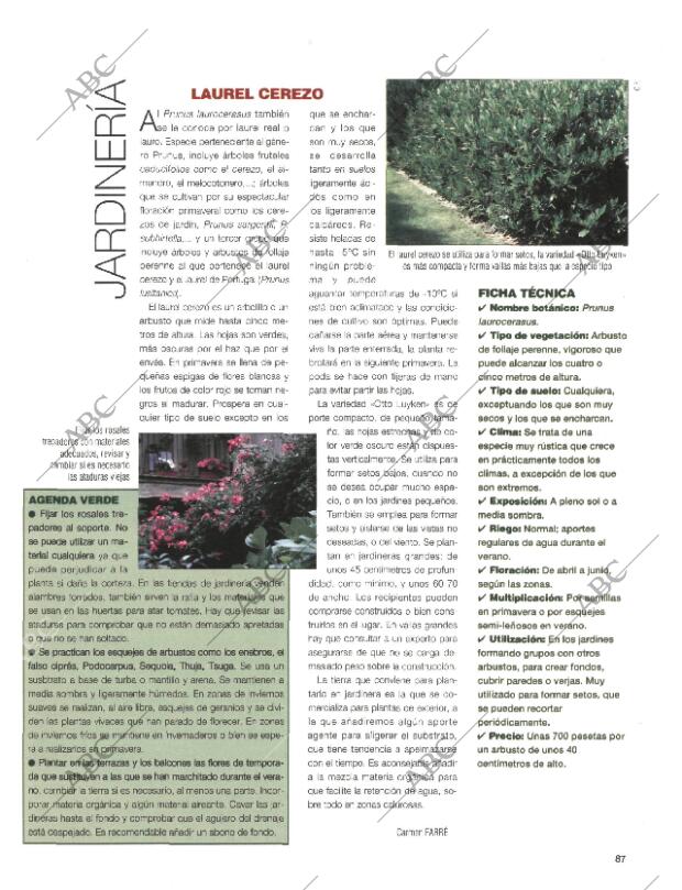 BLANCO Y NEGRO MADRID 20-09-1998 página 87