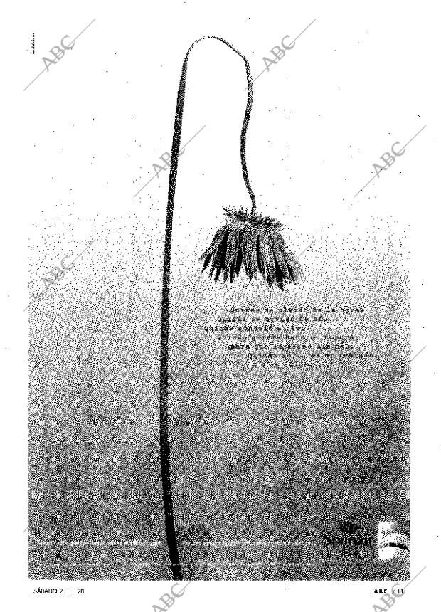 ABC MADRID 21-11-1998 página 11