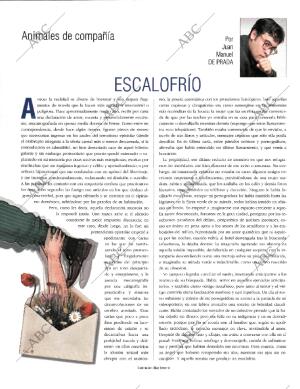 BLANCO Y NEGRO MADRID 27-12-1998 página 12