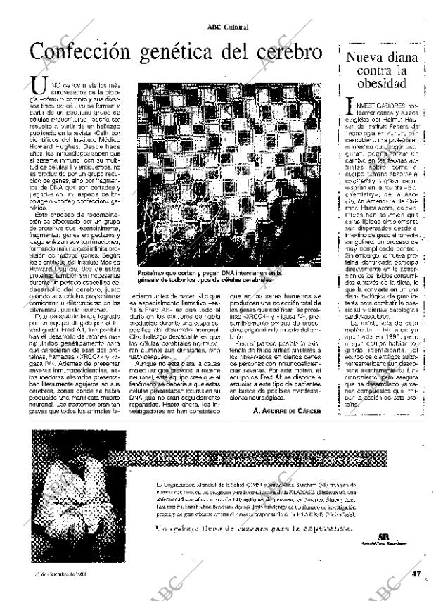 CULTURAL MADRID 31-12-1998 página 47