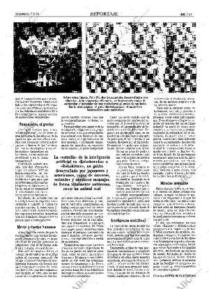 ABC MADRID 07-02-1999 página 61