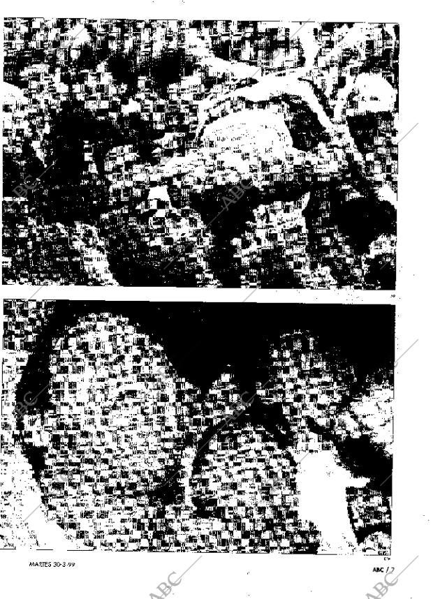 ABC MADRID 30-03-1999 página 7