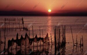 Medio ambiente albufera