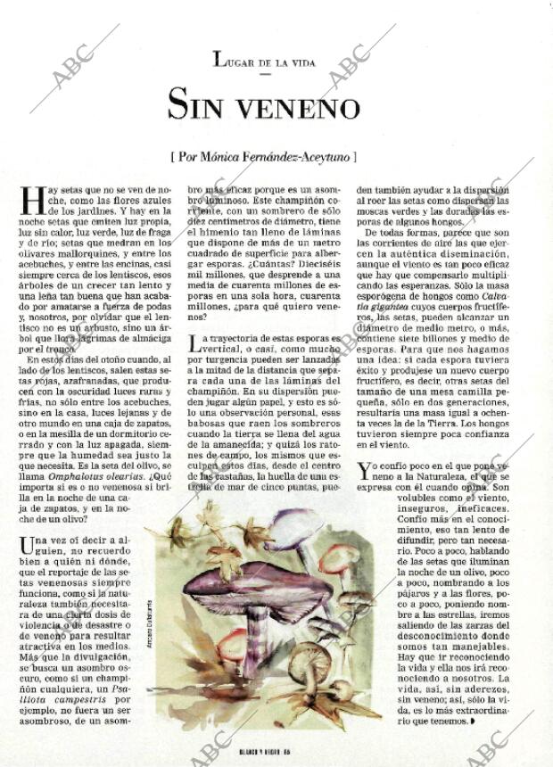 BLANCO Y NEGRO MADRID 10-10-1999 página 65