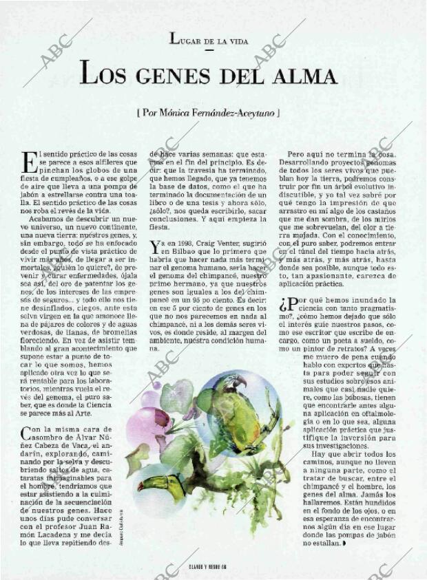 BLANCO Y NEGRO MADRID 30-04-2000 página 66