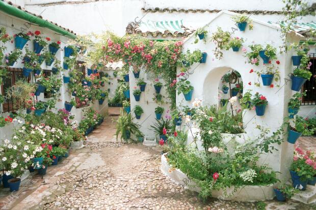 Uno de los patios cordobeses participantes en el concurso que se celebra...