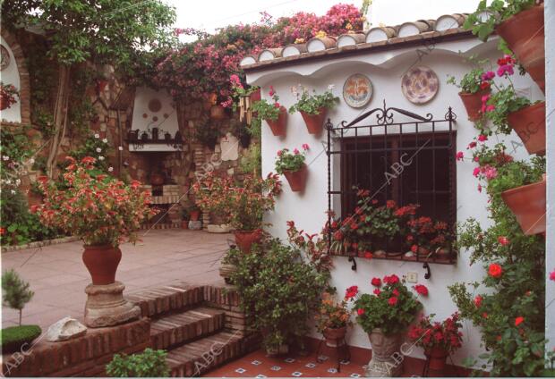 Patio galardonado con el primer premio en el Concurso de Patios de Córdoba