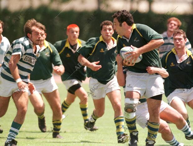 Universidad de Sevilla de Rugby