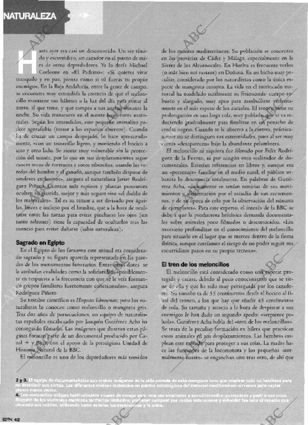 BLANCO Y NEGRO MADRID 23-07-2000 página 42