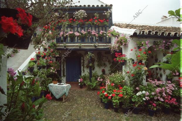 Patio de la calle San Juan de Palomares galardonado con el Primer Premio de...