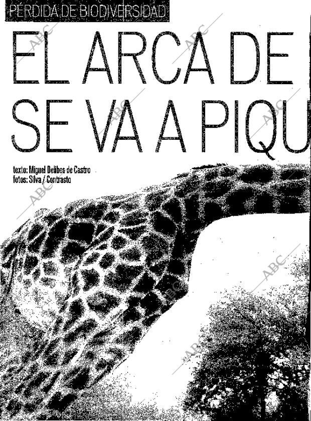 ABC MADRID 05-08-2001 página 204