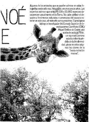 ABC MADRID 05-08-2001 página 205