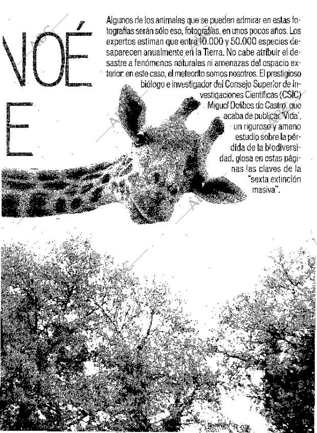 ABC MADRID 05-08-2001 página 205