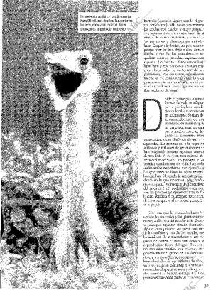 ABC MADRID 05-08-2001 página 207