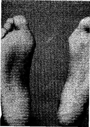 ABC MADRID 05-08-2001 página 219