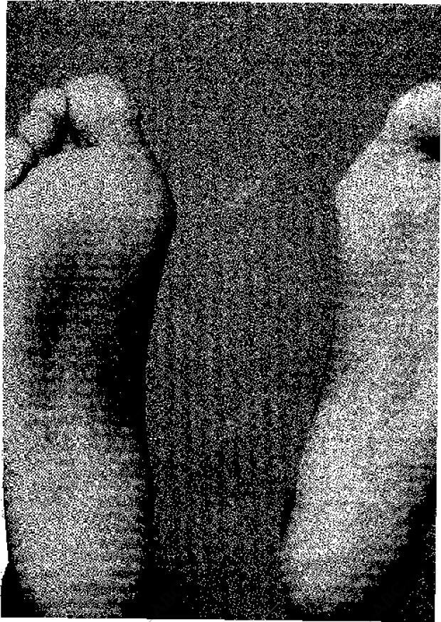 ABC MADRID 05-08-2001 página 219