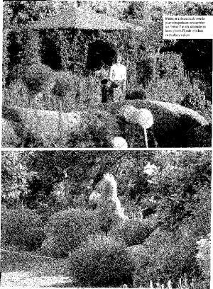 ABC MADRID 05-08-2001 página 239