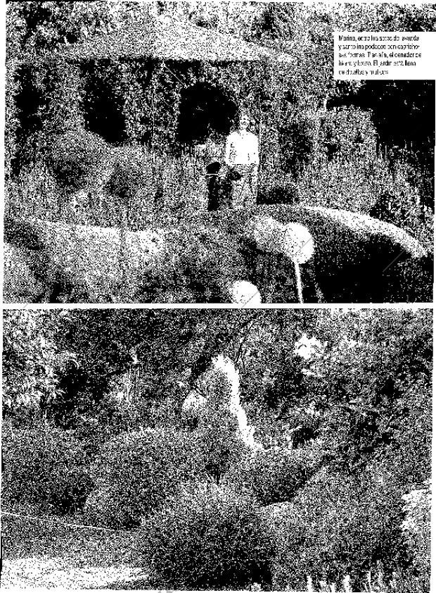 ABC MADRID 05-08-2001 página 239