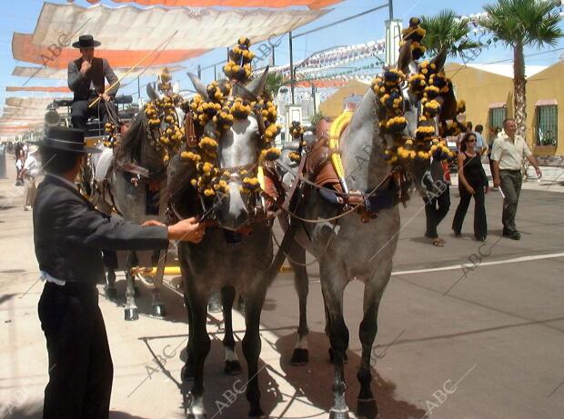 Los caballos con sus mejores galas, pasean por la Feria de Málaga